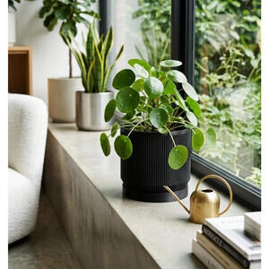 3D Printed Modern Planter - 4 Inch - Indoor - Black with removable bottom